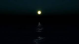 Beethoven - Piano Sonata No. 14 in C-Sharp Minor - Moonlight - Marco Pieri Guitar Transcription