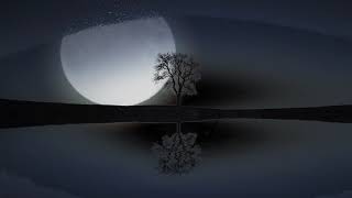 Clair de lune - Suite Bergamasque, L. 75: No. 3, Claude Debussy, - Marco Pieri Guitar Transcription