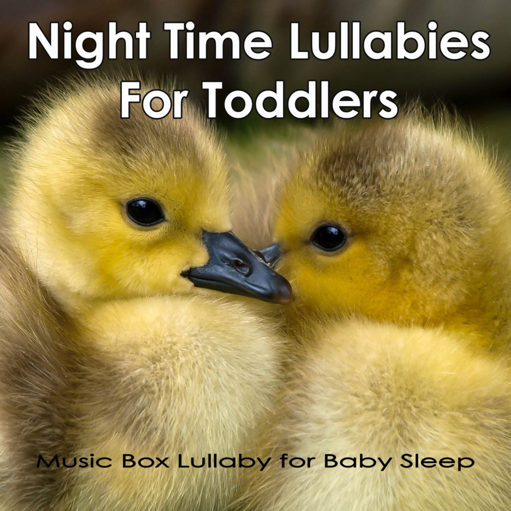 Night Time Lullabies For Toddlers: Music Box Lullaby for Baby Sleep - Music Box Lullaby Academy - Sleeping Baby Aid - Lullaby Baby Band