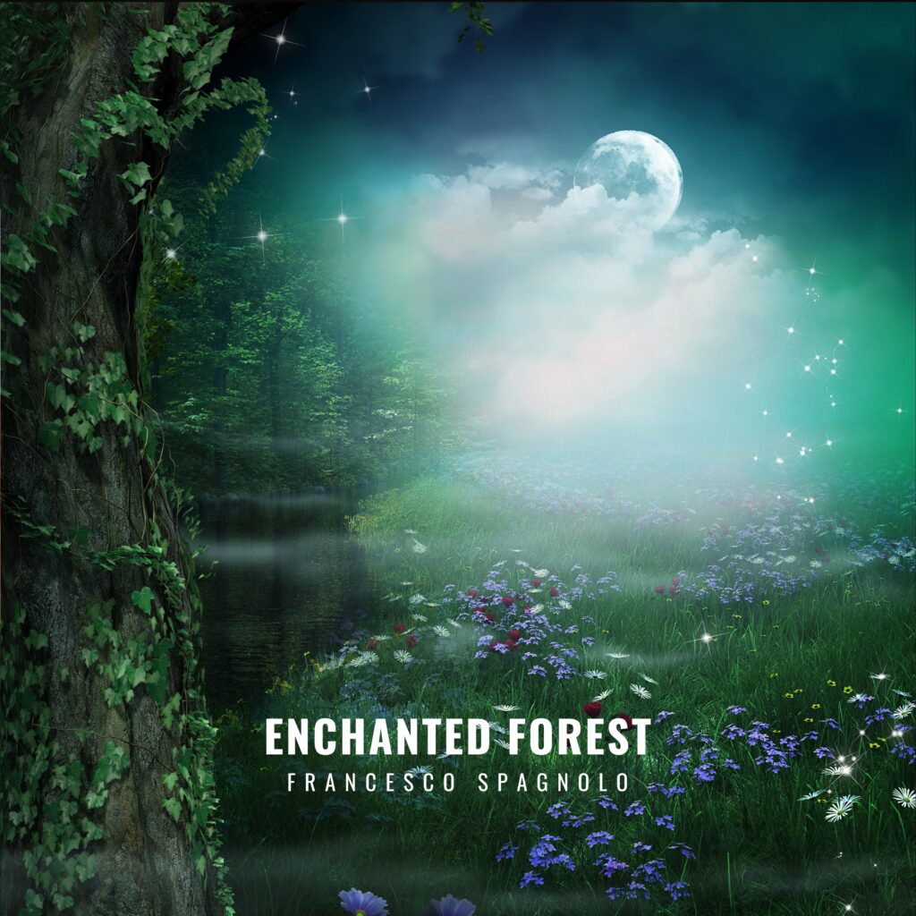 Enchanted forest - Francesco Spagnolo